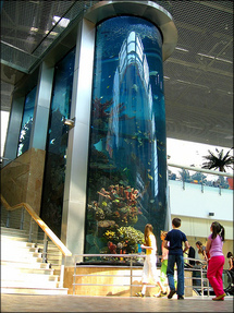 The tallest marine aquarium in the Baltic states