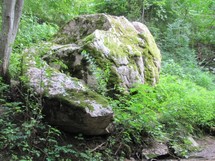 Rogalkos akmuo - milžinas ir gamtos takas