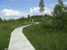 Debesnai botanical path