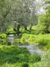 The river of Svete