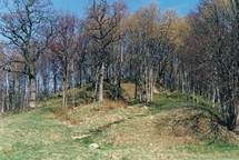 Kalniškės (Gargždų) piliakalnis