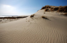 Parnidis dune in Nida