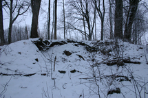Ritinės piliakalnis, dar kitaip - Švedkapis